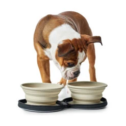 Hunter Siliconen Reiskommen In Tasje -Beste Hondenartikelen Winkel hunter siliconen reiskommen in tasje 175747 2000 none