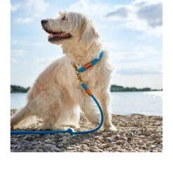 Hunter Verstelbare Riem Oss -Beste Hondenartikelen Winkel hunter verstelbare riem oss 116580 0500 none