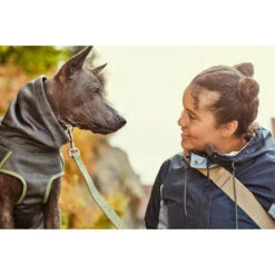 Hurtta Razzle-Dazzle Midlayer Jacket - Blackberry 23 Hurtta Razzle-Dazzle Midlayer Jacket - Blackberry -Beste Hondenartikelen Winkel hurtta razzle dazzle midlayer jacket blackberry 183757 0500 none