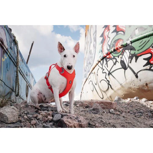 Hurtta Weekend Warrior Eco Harness 14 Hurtta Weekend Warrior Eco Harness - Afbeelding 12