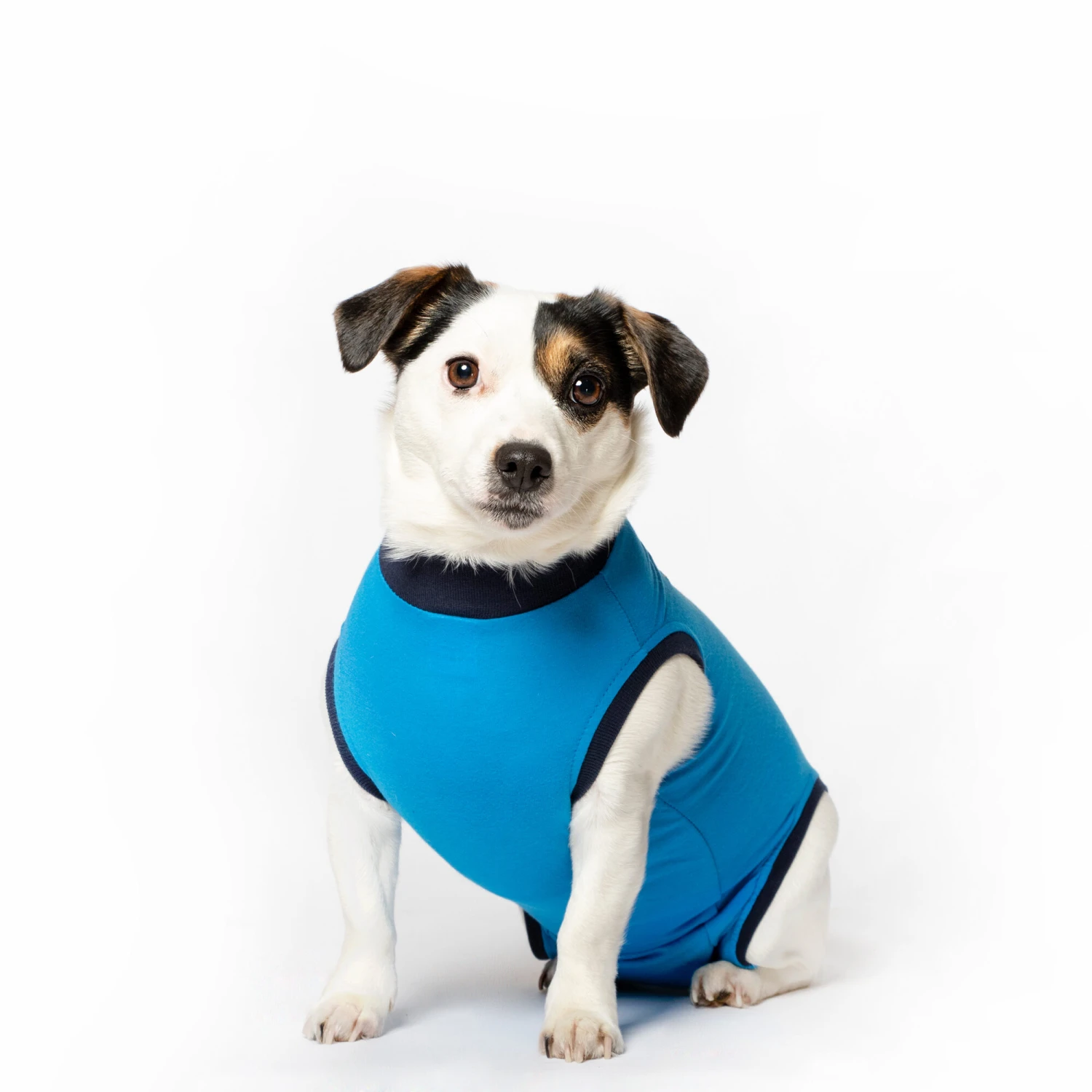 Jacketz Medical Body Suit Hond 6 Jacketz Medical Body Suit Hond - Afbeelding 4