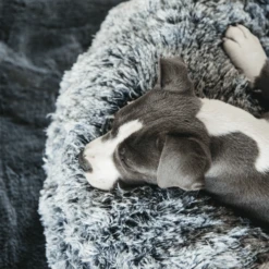 Kentucky Dogwear Comfort Donut Hondenmand -Beste Hondenartikelen Winkel kentucky dogwear comfort donut hondenmand 219723 0500 none