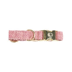 Kentucky Dogwear Hondenhalsband Wool -Beste Hondenartikelen Winkel kentucky dogwear hondenhalsband wool 219709 0500 none