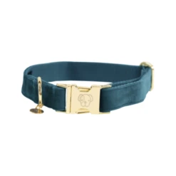 Kentucky Dogwear Velvet Hondenhalsband -Beste Hondenartikelen Winkel kentucky dogwear velvet hondenhalsband 219231 0500 none