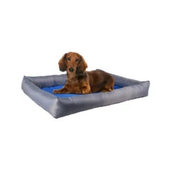 Flamingo Koelmand Fresk Rechthoek 27 Flamingo Koelmand Fresk Rechthoek -Beste Hondenartikelen Winkel koelmand fresk rechthoek 222649 1000 none