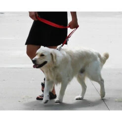 KONG Adjustable Leash -Beste Hondenartikelen Winkel kong adjustable leash zwart 176941 1000 none