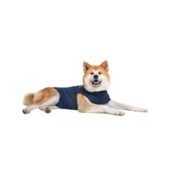 Medical Pet Shirt Hond -Beste Hondenartikelen Winkel medical pet shirt hond 167410 1000 none