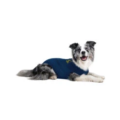 Medical Pet Shirt Hond -Beste Hondenartikelen Winkel medical pet shirt hond 167416 1000 none
