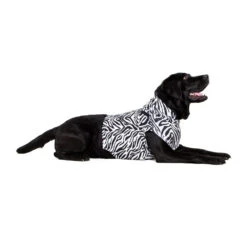 Medical Pet Top Shirt - Zebraprint -Beste Hondenartikelen Winkel medical pet top shirt zebraprint 150704 1000 none