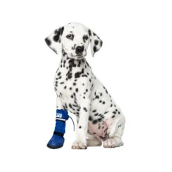 Medical Pet Shirt Boot -Beste Hondenartikelen Winkel medical pets boot 167470 1000 none