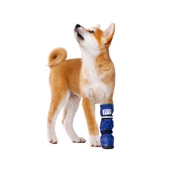 Medical Pet Shirt Boot -Beste Hondenartikelen Winkel medical pets boot 167479 1000 none