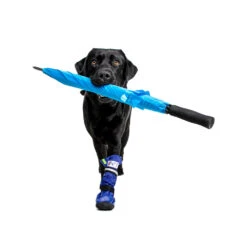 Medical Pet Shirt Boot -Beste Hondenartikelen Winkel medical pets boot 167482 1000 none