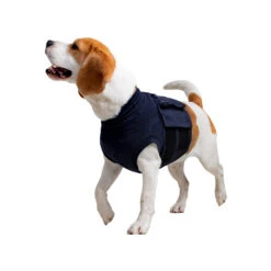 MPS-TOP Shirt 4 In 1 -Beste Hondenartikelen Winkel mps top shirt 4 in 1 149909 2000 none