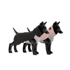 PAIKKA Recovery Winter Shirt -Beste Hondenartikelen Winkel paikka recovery winter shirt 217785 2000 none