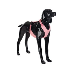PAIKKA Visibility Harness 27 PAIKKA Visibility Harness -Beste Hondenartikelen Winkel paikka visibility harness pink xs 134556 2000 none