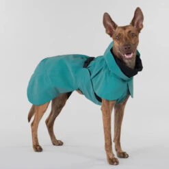 PAIKKA Visibility Raincoat Emerald -Beste Hondenartikelen Winkel paikka visibility raincoat emerald 222162 2000 none