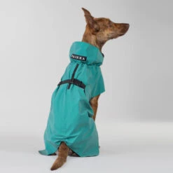 PAIKKA Visibility Raincoat Emerald -Beste Hondenartikelen Winkel paikka visibility raincoat emerald 222164 2000 none