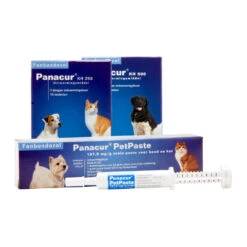 Panacur - Hond & Kat -Beste Hondenartikelen Winkel panacur hond en kat 88405 1000 none