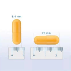 Pharmox Hond & Kat Groenlipmossel -Beste Hondenartikelen Winkel pharmox hond kat groenlipmossel 218962 0500 none