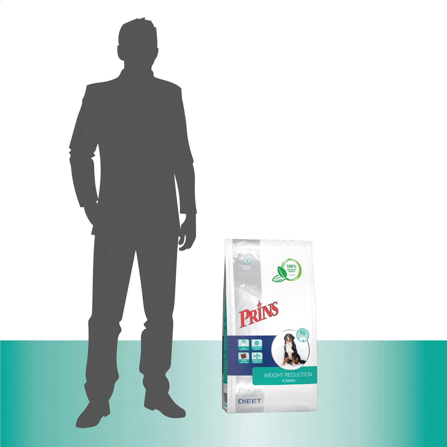 Prins ProCare Croque Weight Reduction & Diabetic 8 Prins ProCare Croque Weight Reduction & Diabetic - Afbeelding 6