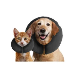 ZenPet Pro Collar -Beste Hondenartikelen Winkel prod 5331 88992 0500 none