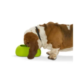 Buster Incredibowl -Beste Hondenartikelen Winkel product buster incredibowl none 4 1479720007 80827