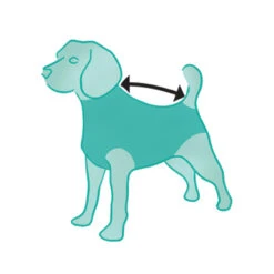 Suitical Recovery Suit Hond - Zwart -Beste Hondenartikelen Winkel product recovery suit hond zwart none 4 1470648189 74176