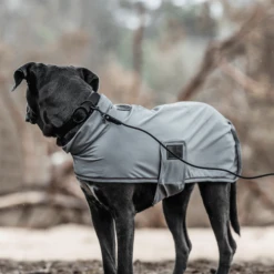 Kentucky Dogwear Soft Rubber Hondenhalsband -Beste Hondenartikelen Winkel qLjnrVJgYTxtxvyIvq6EP9iVPkwKLR metaS2VudHVja3ktRG9nd2Vhci1Tb2Z0LVJ1YmJlci1Ib25kZW5oYWxzYmFuZC16d2FydC1zZmVlci0yLnBuZw