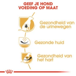 Royal Canin Dalmatian Adult - Hondenvoer -Beste Hondenartikelen Winkel royal canin dalmatian adult hondenvoer 138520 1000 none