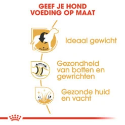 Royal Canin Labrador Retriever Adult - Hondenvoer -Beste Hondenartikelen Winkel royal canin labrador retriever adult hondenvoer 139375 1000 none