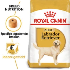 Royal Canin Labrador Retriever Adult - Hondenvoer -Beste Hondenartikelen Winkel royal canin labrador retriever adult hondenvoer 140612 1000 none