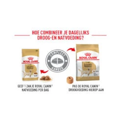 Royal Canin Labrador Retriever Adult - Hondenvoer -Beste Hondenartikelen Winkel royal canin labrador retriever adult hondenvoer 164110 0500 none