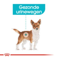 Royal Canin Urinary Care Wet - Hondenvoer -Beste Hondenartikelen Winkel royal canin urinary care wet hondenvoer 131930 1000 none