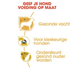 Royal Canin Yorkshire Terrier Adult - Hondenvoer 18 Royal Canin Yorkshire Terrier Adult - Hondenvoer -Beste Hondenartikelen Winkel royal canin yorkshire terrier adult hondenvoer 140738 1000 none