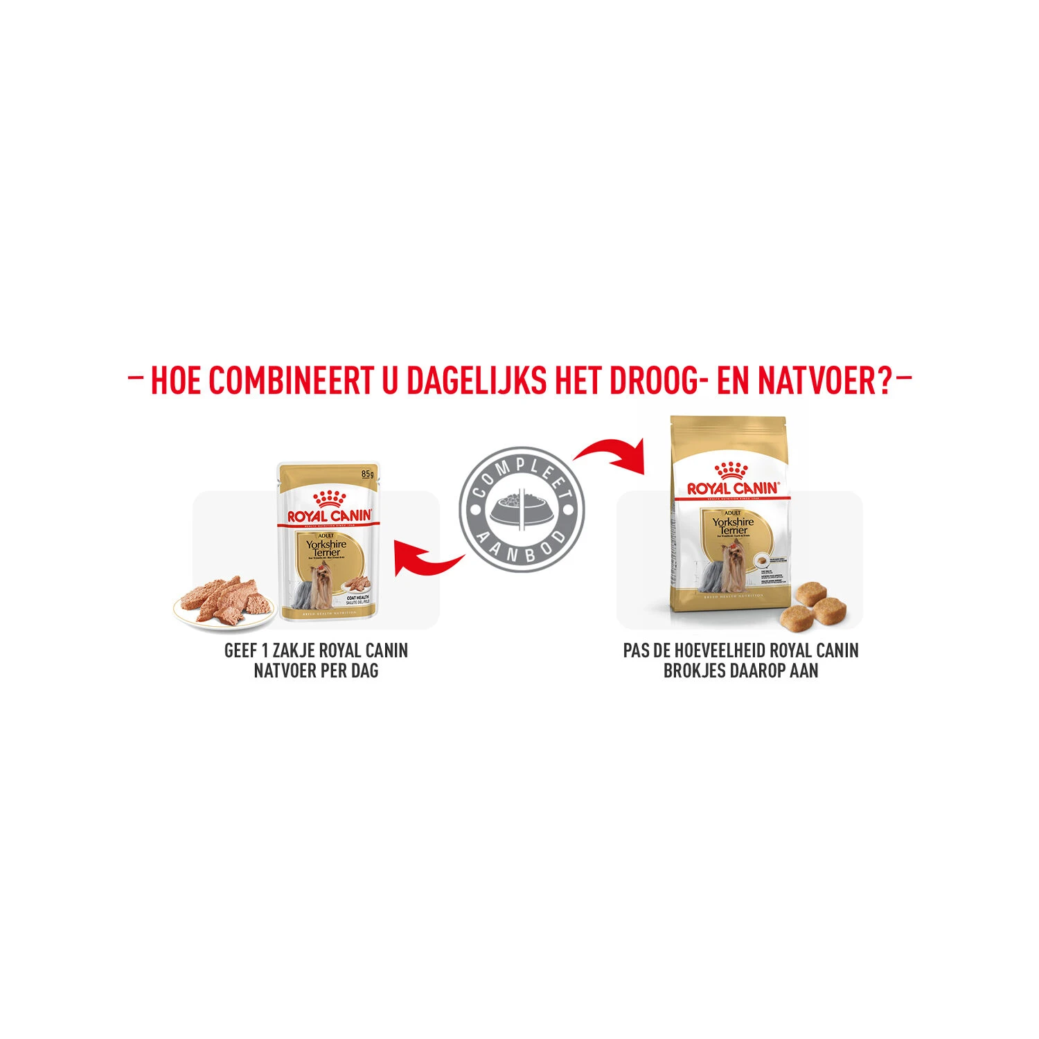 Royal Canin Yorkshire Terrier Adult - Hondenvoer 10 Royal Canin Yorkshire Terrier Adult - Hondenvoer - Afbeelding 8