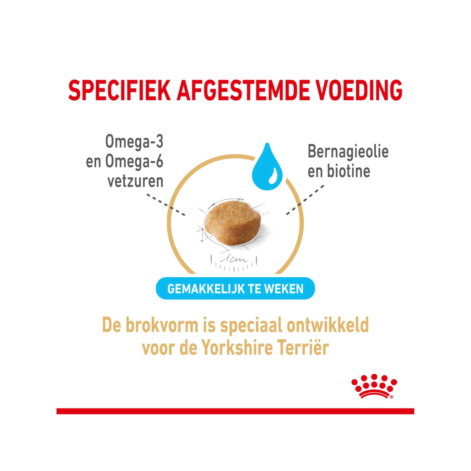 Royal Canin Yorkshire Terriër Adult 8+ 8 Royal Canin Yorkshire Terriër Adult 8+ - Afbeelding 6