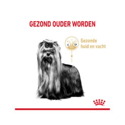 Royal Canin Yorkshire Terriër Adult 8+ -Beste Hondenartikelen Winkel royal canin yorkshire terrir adult 8 165205 2000 none
