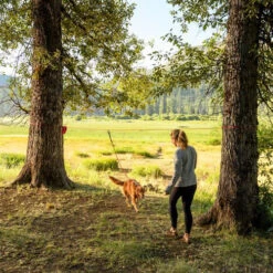 Ruffwear Knot-a-Hitch -Beste Hondenartikelen Winkel ruffwear knot a hitch 124643 0500 none