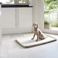 Savic Puppy Trainer + Pads -Beste Hondenartikelen Winkel savic puppy trainer pads 163498 2000 none