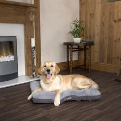 Boneguard Rawhide Bones -Beste Hondenartikelen Winkel scruffs cosy mattress 209366 1500 none