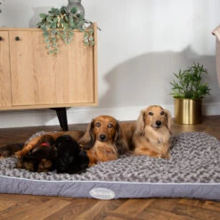 Scruffs Wilton Mattress -Beste Hondenartikelen Winkel scruffs wilton mattress 209684 1000 none