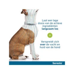 Seresto Hond -Beste Hondenartikelen Winkel seresto hond 174112 0500 none