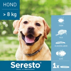Seresto Hond -Beste Hondenartikelen Winkel seresto hond 180928 1000 none