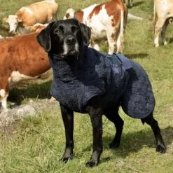 Siccaro WetDog SupremePro 2.0 -Beste Hondenartikelen Winkel siccaro wetdog supremepro 190159 1000 none