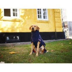 Siccaro WetDog SupremePro 2.0 -Beste Hondenartikelen Winkel siccaro wetdog supremepro 20 216994 2000 none