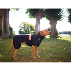 Siccaro WetDog SupremePro 2.0 -Beste Hondenartikelen Winkel siccaro wetdog supremepro 20 216995 2000 none