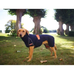 Siccaro WetDog SupremePro 2.0 -Beste Hondenartikelen Winkel siccaro wetdog supremepro 20 216996 2000 none