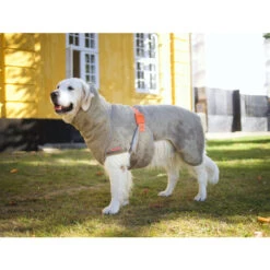 Siccaro WetDog SupremePro 2.0 -Beste Hondenartikelen Winkel siccaro wetdog supremepro 20 216997 2000 none