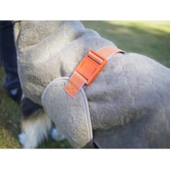 Siccaro WetDog SupremePro 2.0 -Beste Hondenartikelen Winkel siccaro wetdog supremepro 20 216999 2000 none