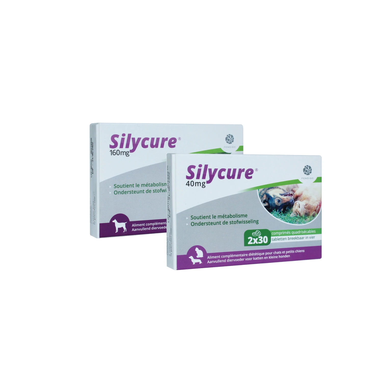 Silycure 5 Silycure - Afbeelding 3